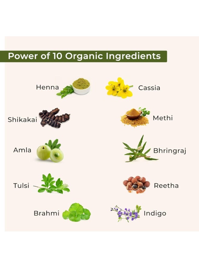 INDUS VALLEY Bio Organic 100% Pure Indigo Powder & Herbal Henna Powder Hair Color Combo Kit for Natural Hair Dyeing - Black, Indigo - 100 gm Each, Without Preservatives - Image 4