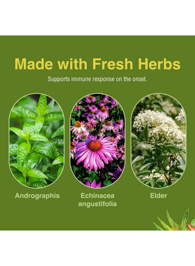 Herbs Etc. Immune Alert 60 ct. Softgels - Image 5