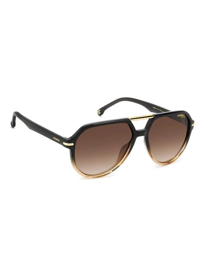 Carrera Aviator Sunglasses