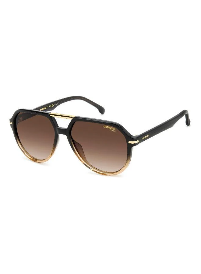 Carrera Aviator Sunglasses