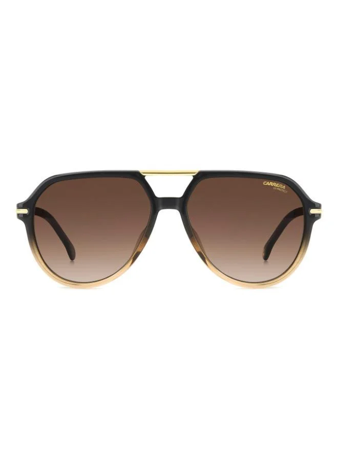 كاريرا نظارة شمسية بإطار أفياتور