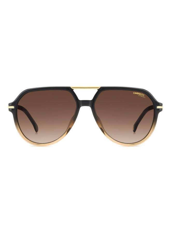 كاريرا نظارة شمسية بإطار أفياتور - Image 3