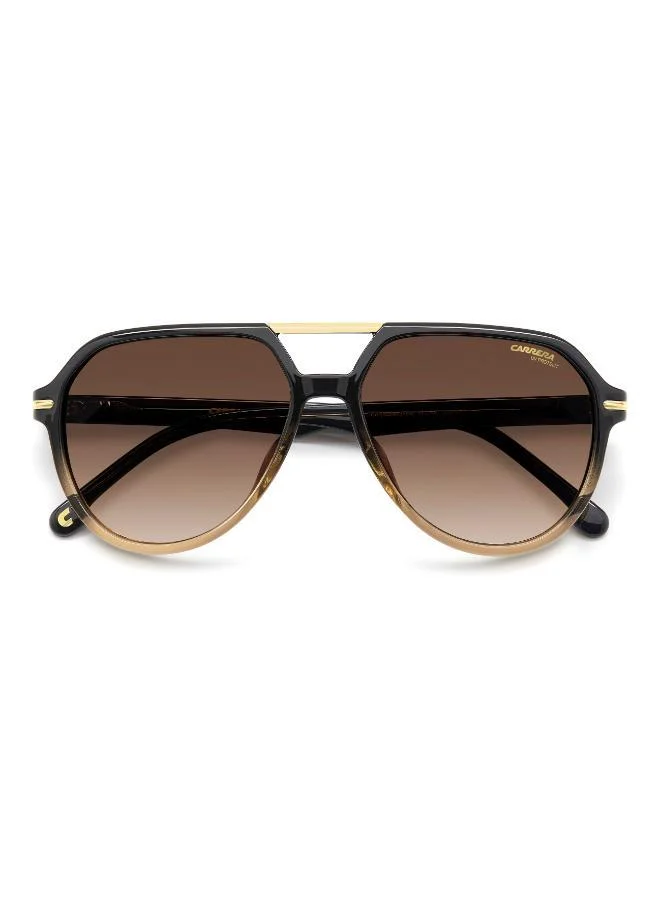 كاريرا نظارة شمسية بإطار أفياتور