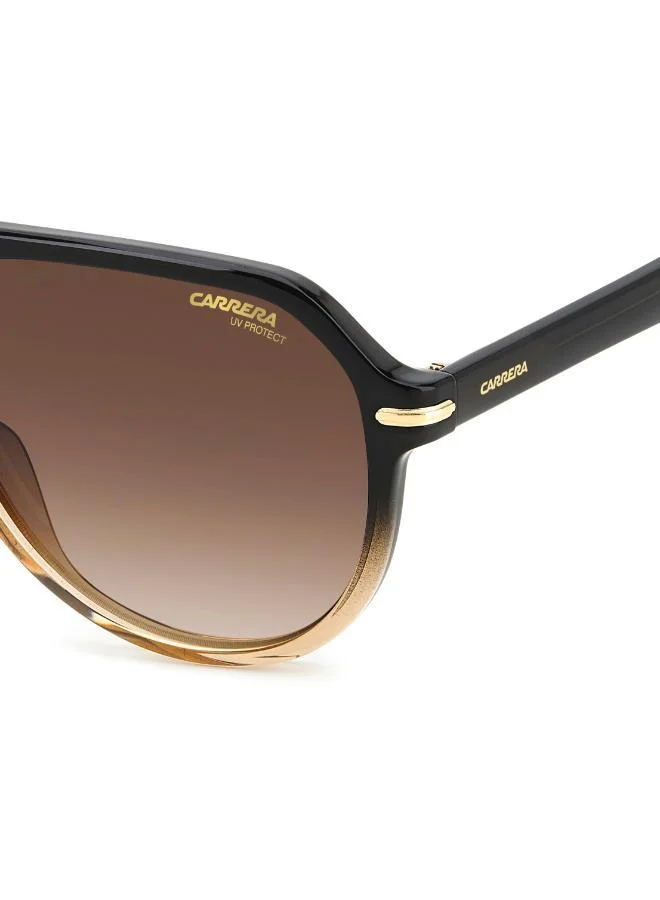 كاريرا نظارة شمسية بإطار أفياتور