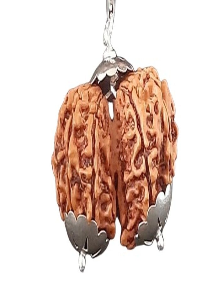 IRIS GEMS Gori Shankar Rudraksha Original Nepali 25 Mm Natural 9 Mukhi Rudraksha Original Certified with A Silver Pendant Brown Bead Joined Gowri Shankar Rudraksha Blessed Maa Parvati & Shiv Ji by IRIS GEMS - Image 1