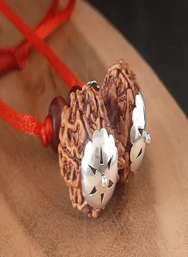 IRIS GEMS Gori Shankar Rudraksha Original Nepali 25 Mm Natural 9 Mukhi Rudraksha Original Certified with A Silver Pendant Brown Bead Joined Gowri Shankar Rudraksha Blessed Maa Parvati & Shiv Ji by IRIS GEMS - Image 2