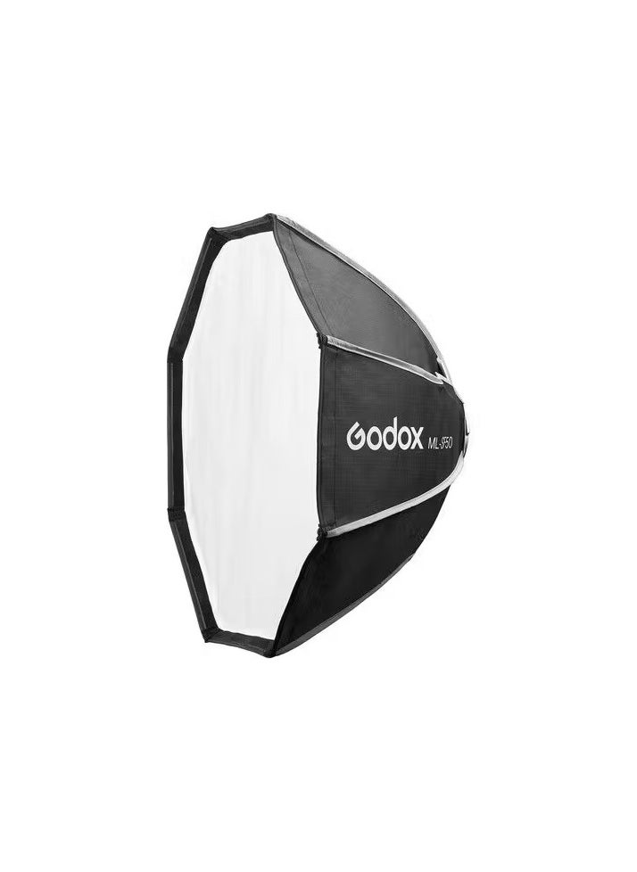 Aputure LS60 Softbox for LS 60d and 60x LED Lights - LS 60 Softbox  - Image 1