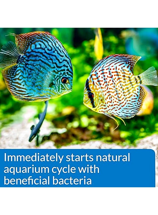 ايه بي آي بداية سريعة - 32 أونصة (946 مل) - Image 3