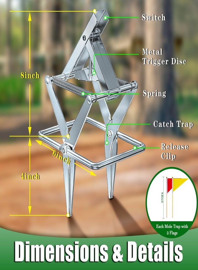 Wanqueen 2 Pack Mole Traps That Kill Best, Vole Traps Outdor Use Scissor for Lawns - Image 4