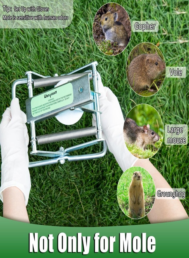 Wanqueen 2 Pack Mole Traps That Kill Best, Vole Traps Outdor Use Scissor for Lawns - Image 5