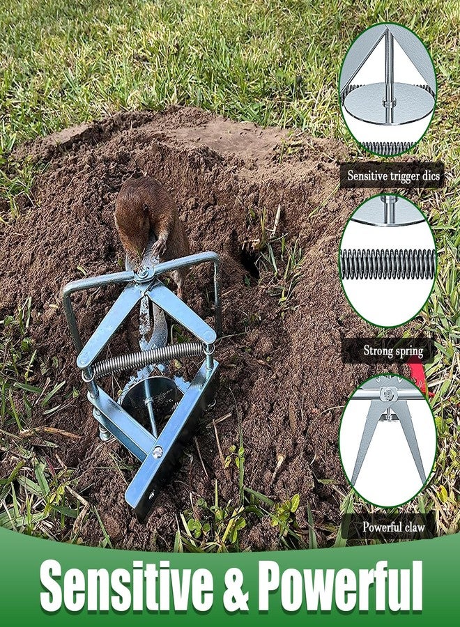 Wanqueen 2 Pack Mole Traps That Kill Best, Vole Traps Outdor Use Scissor for Lawns - Image 3