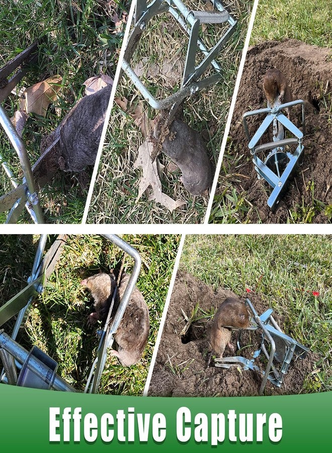 Wanqueen 2 Pack Mole Traps That Kill Best, Vole Traps Outdor Use Scissor for Lawns - Image 2