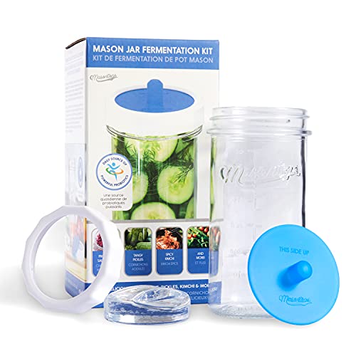 Masontops Fermentation Jar Starter Set, Easy Vegetable Fermentation Kit, Includes Mason Jar, Pickle Kit with Fermentation Lids & Fermentation Weight - Image 1