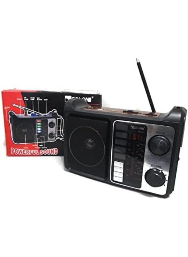 Golon Rx-333 portable radio reciever 4 band - Image 1