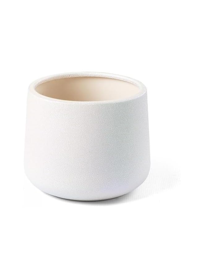 SGC Indoor Ceramic Pots Ct 1134L35 Pw 2 Ceramic Flower Pots Plant Cachepots For Indoor Home Office Restaurants Size D24Xh20 Cm Color White