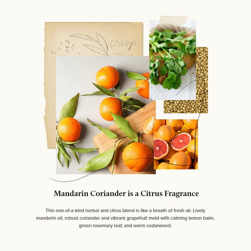 Thymes Fragrance Mist - 3 Oz - Mandarin Coriander - Image 3