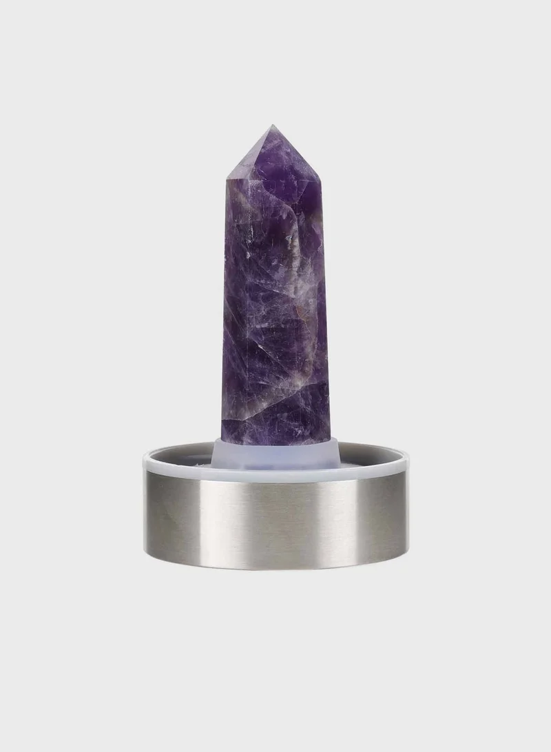 Prickly Pear Amethyst Interchangeable Crystal Water Bottle