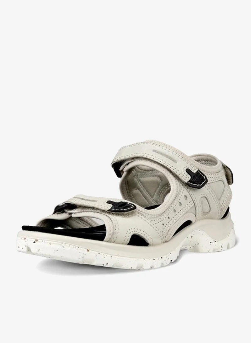 إيكو إيكو أوف رود جرافل