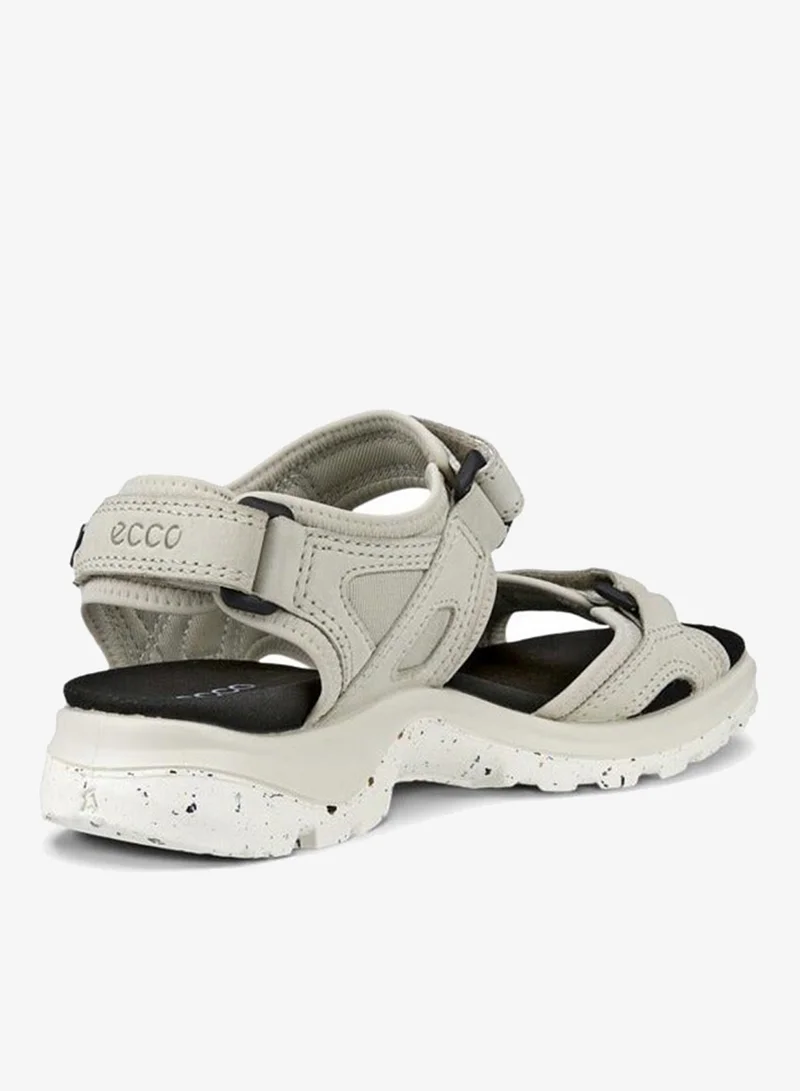 إيكو إيكو أوف رود جرافل