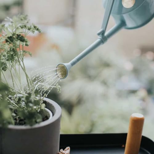 Haws Light Blue Plastic 1 Pint Indoor Watering Can for Orchids, African Violets and Seedlings - Image 5