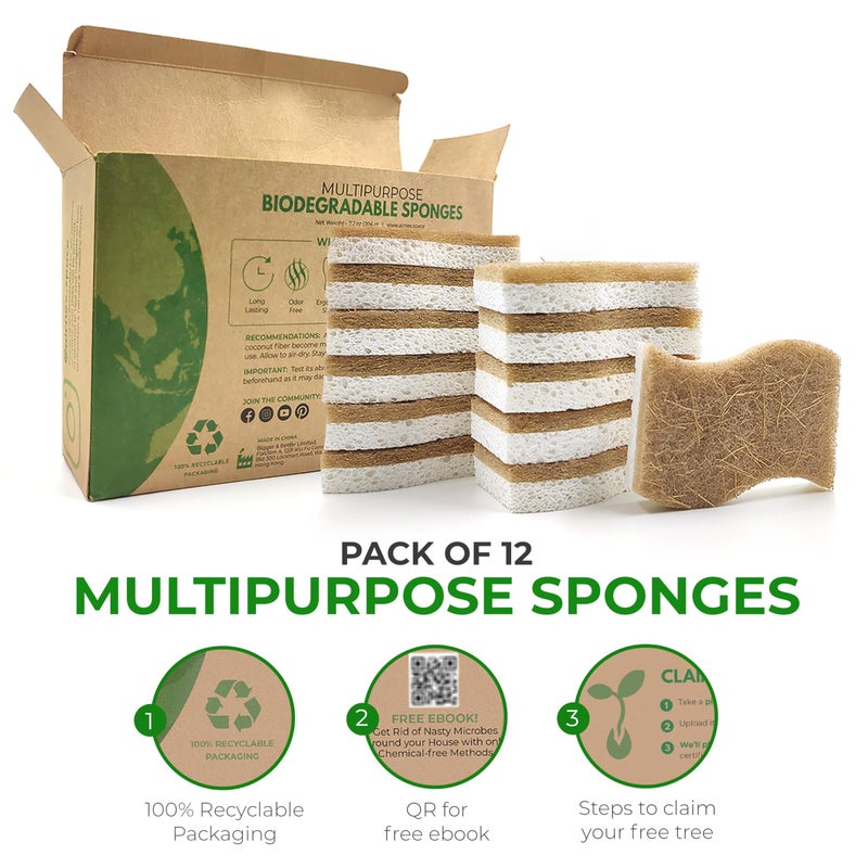 AIRNEX Biodegradable Natural Kitchen Sponge - Compostable Cellulose and Coconut Walnut Scrubber Sponge (12 Pack) - Image 4