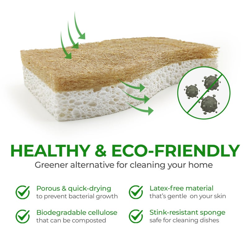 AIRNEX Biodegradable Natural Kitchen Sponge - Compostable Cellulose and Coconut Walnut Scrubber Sponge (12 Pack) - Image 3