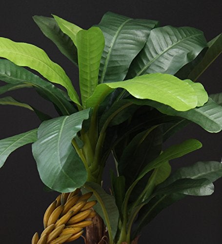 Fourwalls Artificial Ficus Bonsai Plant in a Ceramic Vase for Home and Office Decor (33 Leafs, 47 cm Tall, Mixed Material, Green) - Image 3