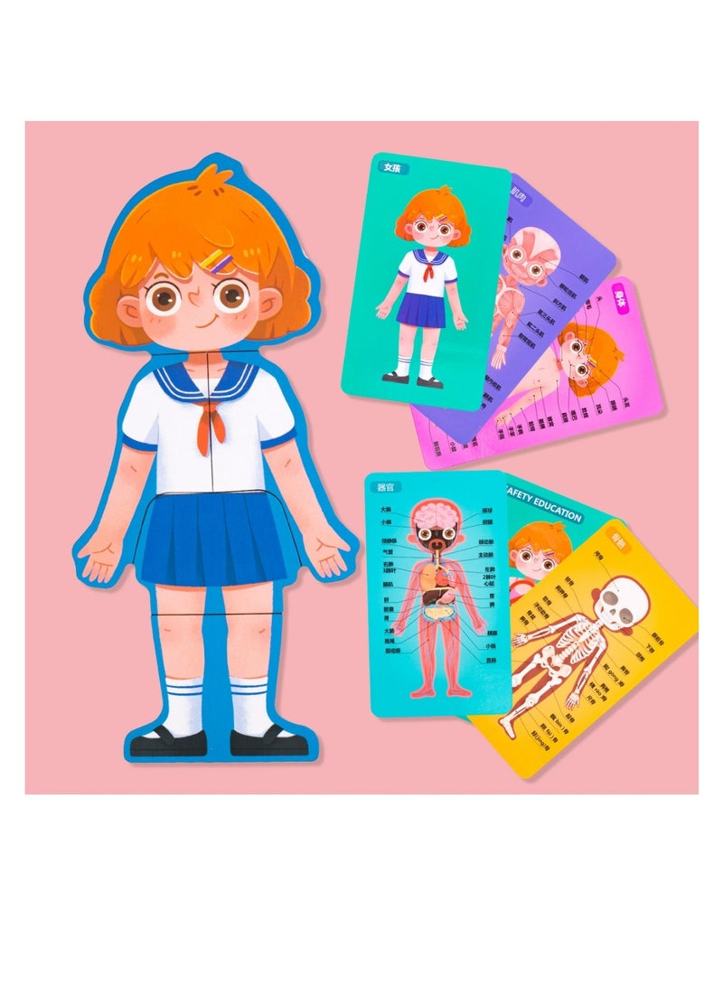 Factory Price مجموعة ألعاب الألغاز لبنية الجسم للأطفال - Image 1