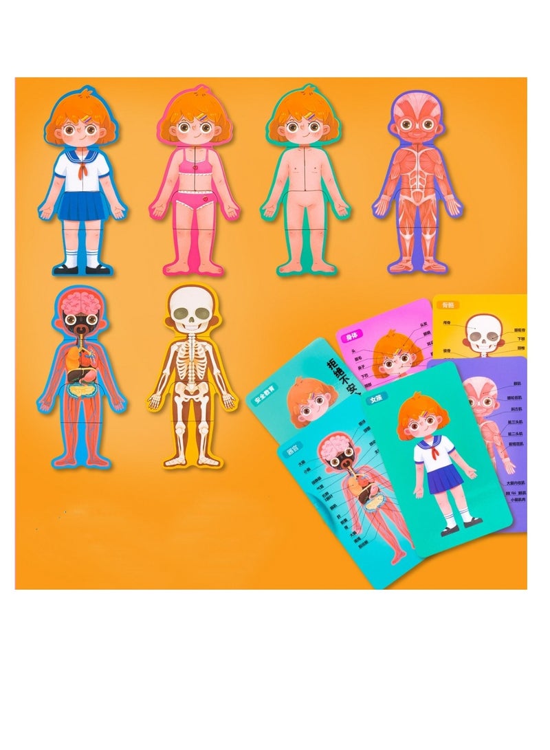 Factory Price مجموعة ألعاب الألغاز لبنية الجسم للأطفال - Image 2