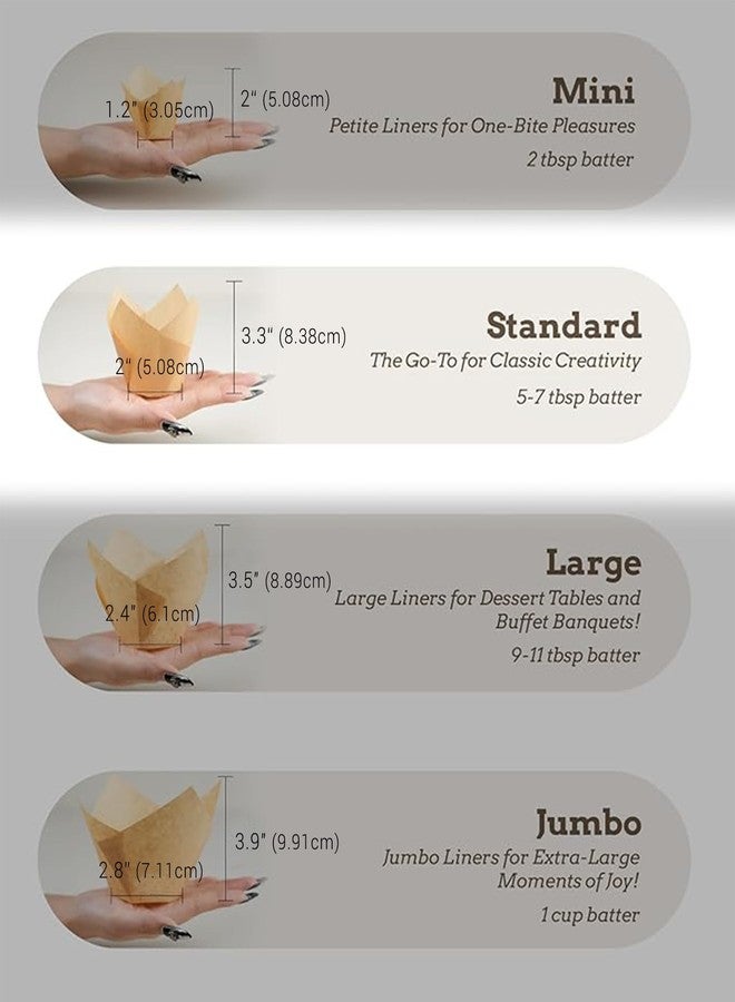 Bake Choice Nordic Paper 200pcs Tulip Cupcake Liners for baking cups with four fancy designs EU Parchment paper Standard Size Tulip Muffin liners, Cupcake Wrappers for Party, Wedding, Birthday - Image 2