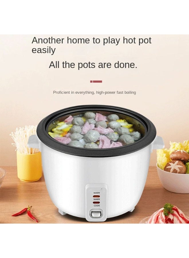 ريفورا جهاز طهي الأرز والبخار | 2.2 لتر | وعاء غير لاصق | وظيفة الحفاظ على السخونة | 900 واط | RE-621 - Image 4