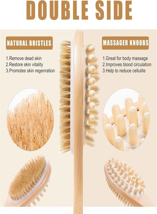 Ask Me 2-in-1 Long Handle Body Brush | For Skin Exfoliation and Massage | Reduces Cellulite | Stimulates Blood Circulation & Reduces Dead Skin Cells | Natural, Soft Bristles | (1 unit) - Image 3