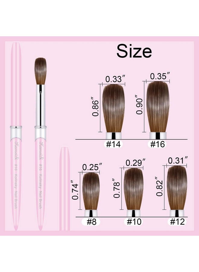 KEMEISI Acrylic Nail Brush Size 10 100% Pure Kolinsky Nail Art Brushes For Acrylic Application Sturdy Handle Oval Shaped Acrylic Powder Nail Design Tools For Professional Manicure Diy  - Image 4