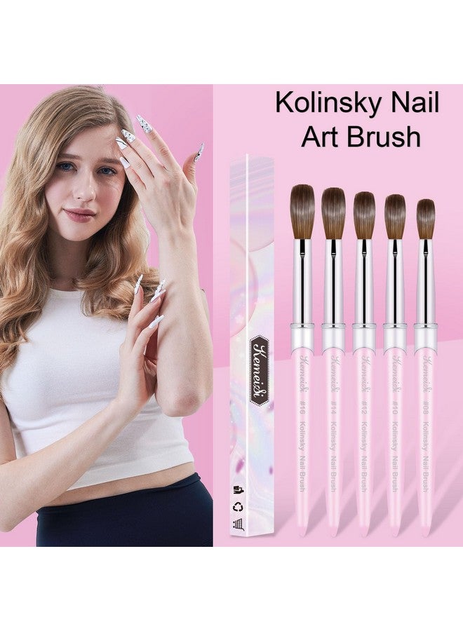 KEMEISI Acrylic Nail Brush Size 10 100% Pure Kolinsky Nail Art Brushes For Acrylic Application Sturdy Handle Oval Shaped Acrylic Powder Nail Design Tools For Professional Manicure Diy  - Image 2
