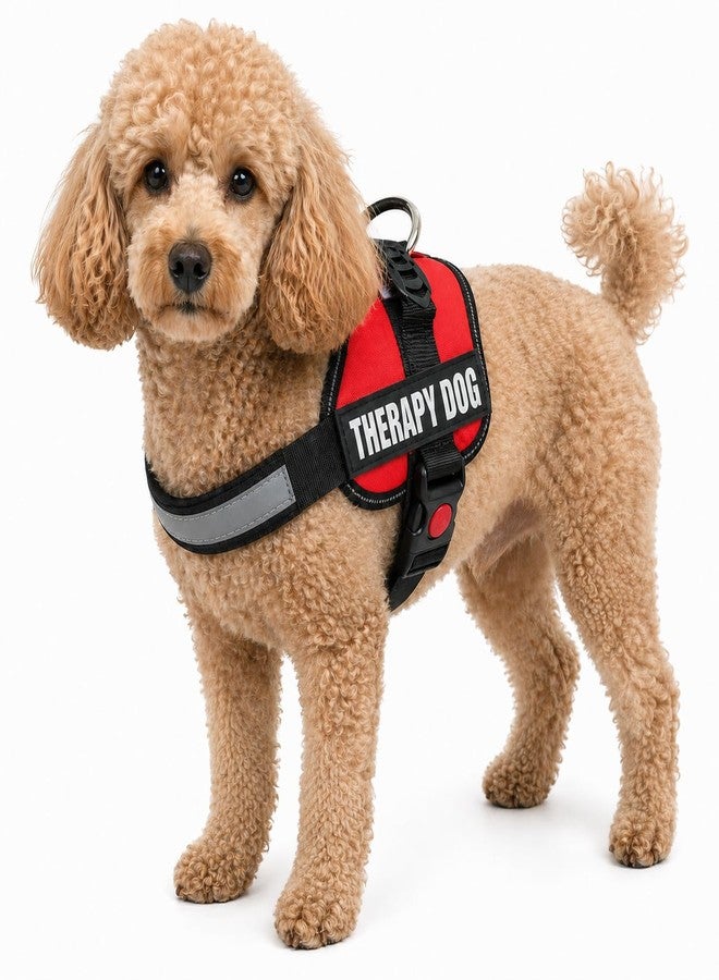 Albcorp Reflective Therapy Dog Vest Harness with 2 Removable Patches, Adjustable Woven Nylon, for Therapy Visits and Volunteer Programs, Red, Extra Small - Image 2