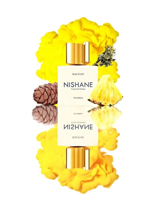 Nishane Hacivat Extrait De Parfum 100ml - Image 4