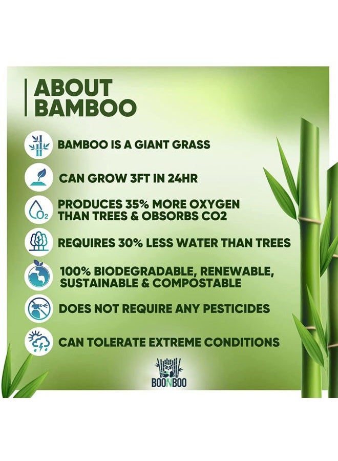 BOONBOO Bamboo Dental Floss Picks | 20CT Reusable Bamboo Picks | Sustainable & Biodegradable - Image 5