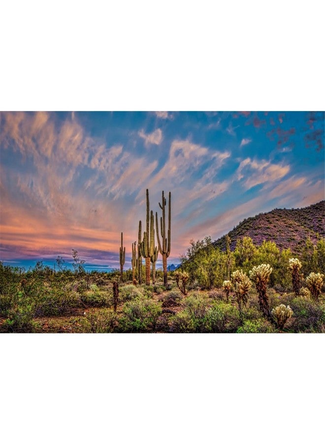 AWERT 48x18 inches Terrarium Background Blue Sky Cloud Huge Cactus Oasis Gobi Reptile Habitat Background Vinyl - Image 1
