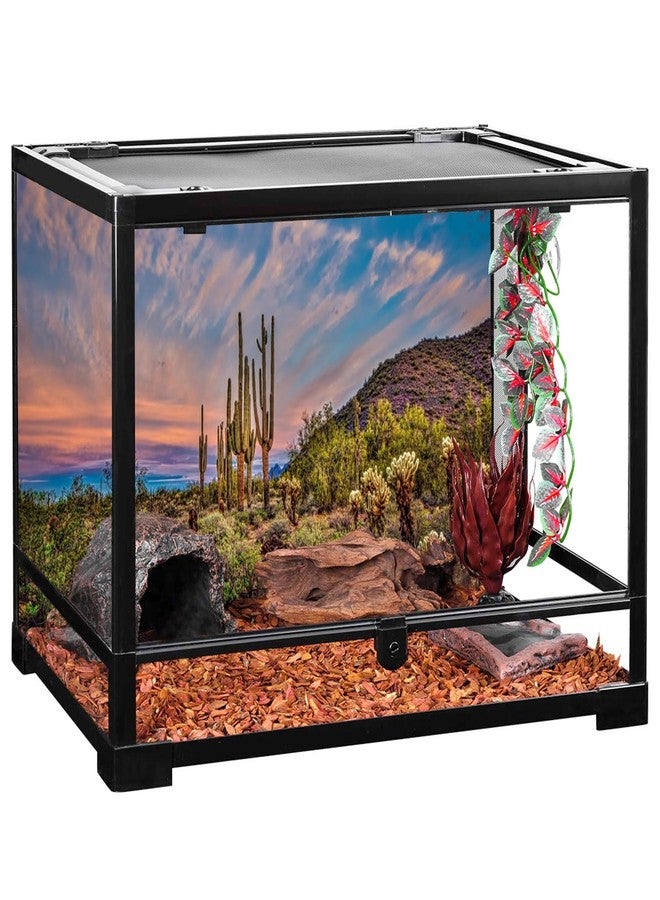 AWERT 48x18 inches Terrarium Background Blue Sky Cloud Huge Cactus Oasis Gobi Reptile Habitat Background Vinyl - Image 5