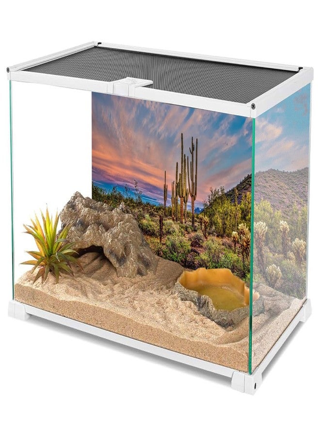 AWERT 48x18 inches Terrarium Background Blue Sky Cloud Huge Cactus Oasis Gobi Reptile Habitat Background Vinyl - Image 4
