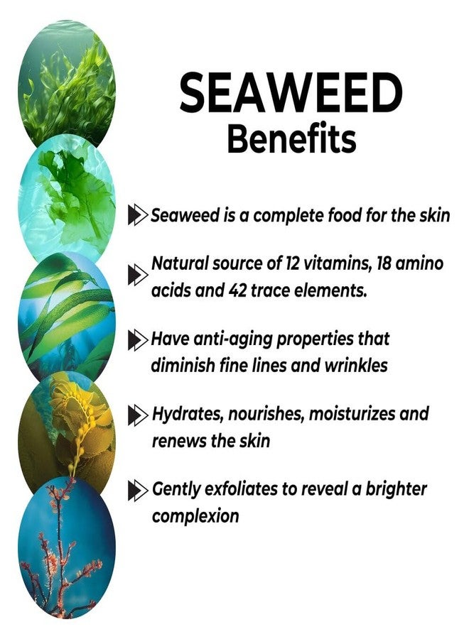 Repechage سيروم تجديد الوجه من ريباشاج لمكافحة الشيخوخة، للحصول على بشرة أكثر نعومة وشباباً مع حمض الهيالورونيك وتقليل ظهور الخطوط الدقيقة والتجاعيد. سيروم للوجه لشد البشرة، موحد اللون ومتجدد 30 مل. - Image 4