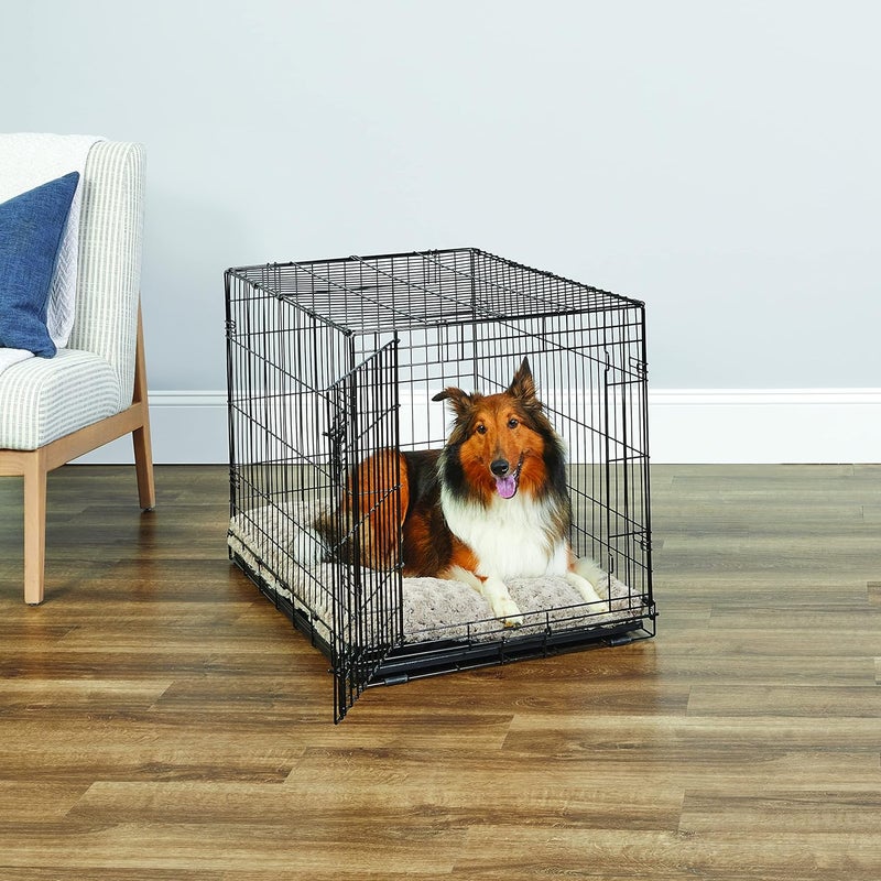New World قفص كلاب العالم الجديد المحسّن حديثًا الفردي، يشمل صينية مانعة للتسرب، أقدام حماية للأرضية، وميزات حاصلة على براءة اختراع جديدة، 36 بوصة - Image 2