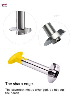 Professional Stainless Steel Easy Use Pineapple Peeler - pzsku/Z65EC6EF709545D438B17Z/45/_/1660641760/96c839ab-06dc-4c84-8b75-983dd3d0803a