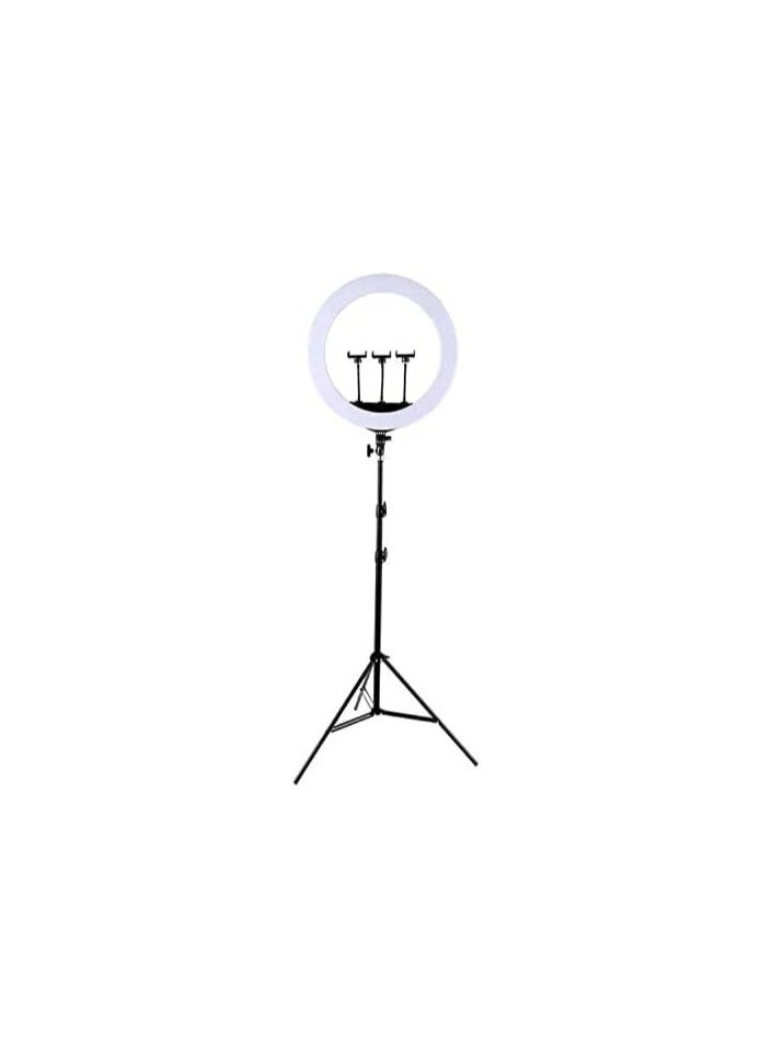 Generic 21 Inch Dual Color LED Ring Light with Adjustable Stand – Warm & White Light Kit for Makeup, Photography, and Video  - Image 1