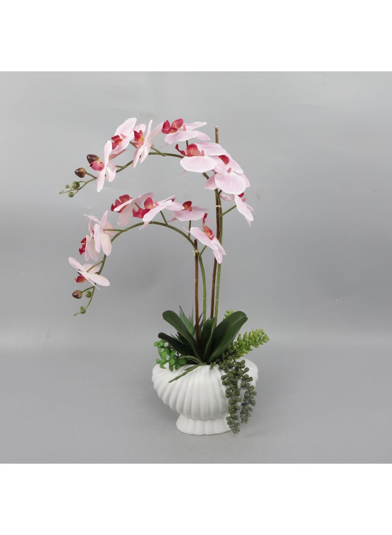 DANUBE HOME Daisy Ceramic & Fabric Orchid in Pot – Realistic Artificial Orchid Plant Arrangement, Elegant Home Decor Accent for Living Room, Office Desk, Table Centerpieces & Gift Ideas L34.29 x W17.15 X H59.06Cm