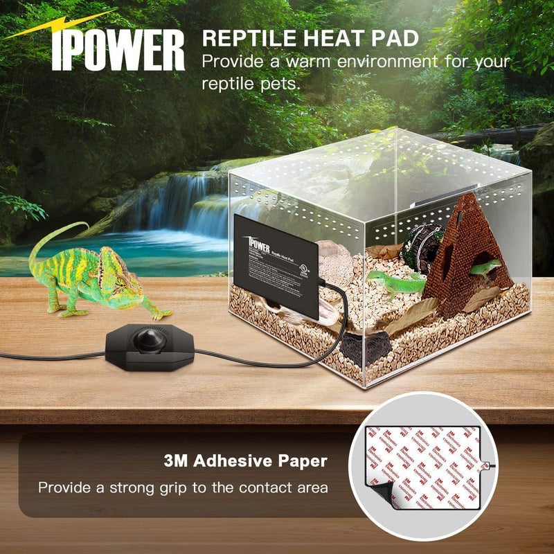 iPower 6 by 8 Inch Reptile Heating Pad with Temperature Adjustable Controller Knob Under Tank Warmer Terrarium Heat Mat for Reptiles and Amphibians - Image 4