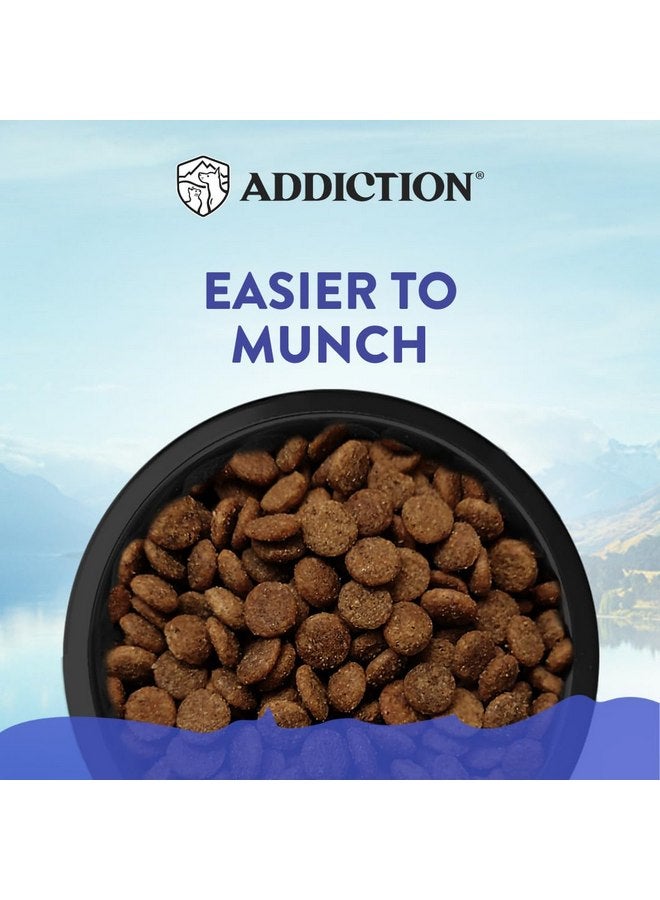 Addiction Duck Royale Entrée Premium Small Breed Dry Dog Food - Ideal for Puppies, Adults & Seniors - Grain-Free/Gluten-Free Kibbles for Small Dogs - 3.lb Bag Crafted in New Zealand - Image 5