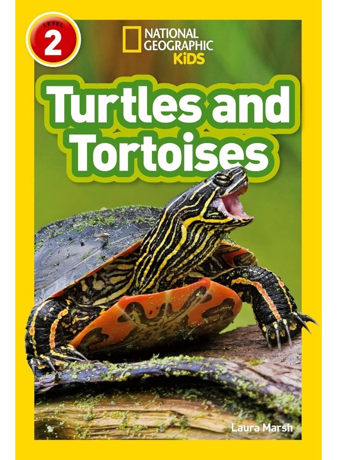 Turtles Level 2 - Image 1