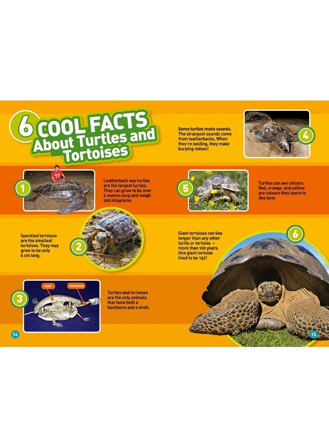 Turtles Level 2 - Image 4