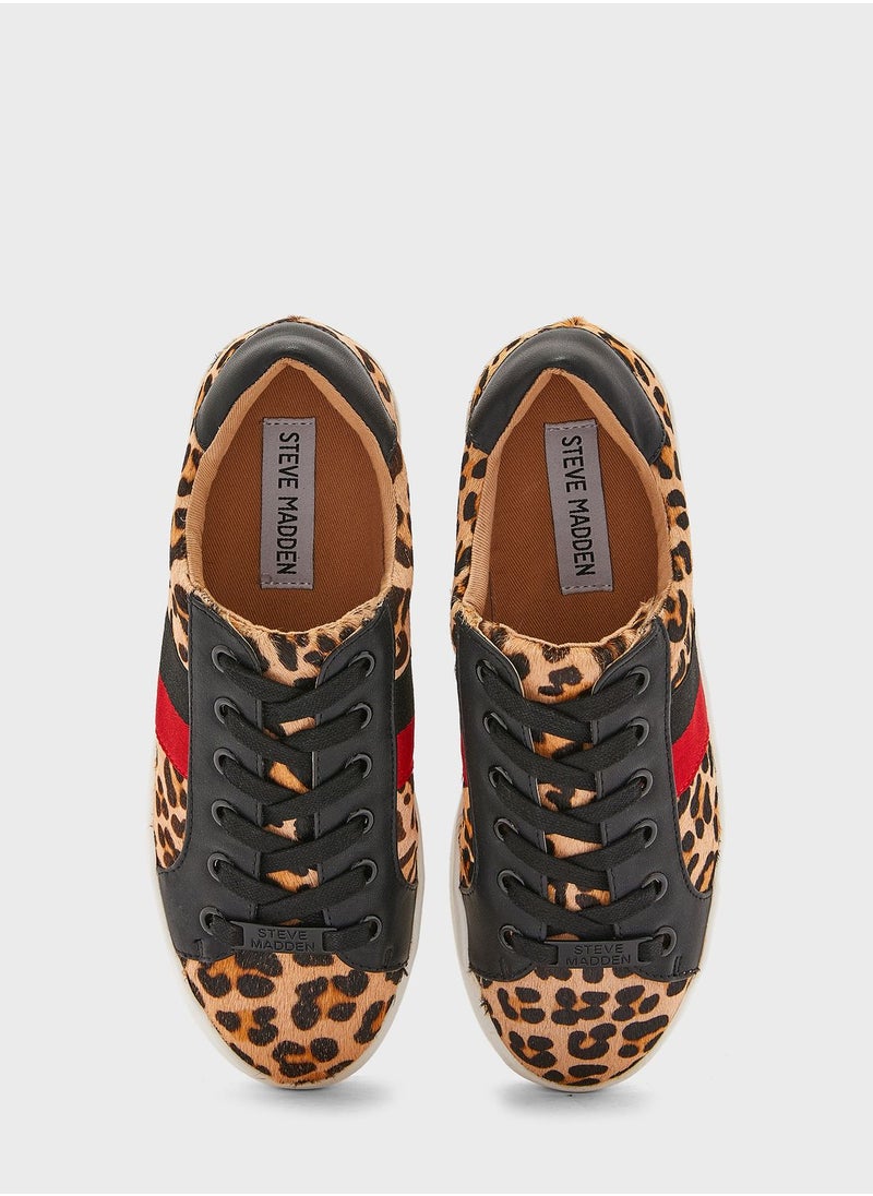 STEVE MADDEN - Belle Low Top Sneakers - Image 1